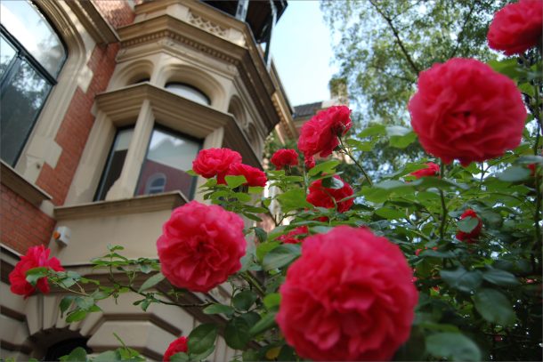 The Vision Company Aussenfassade